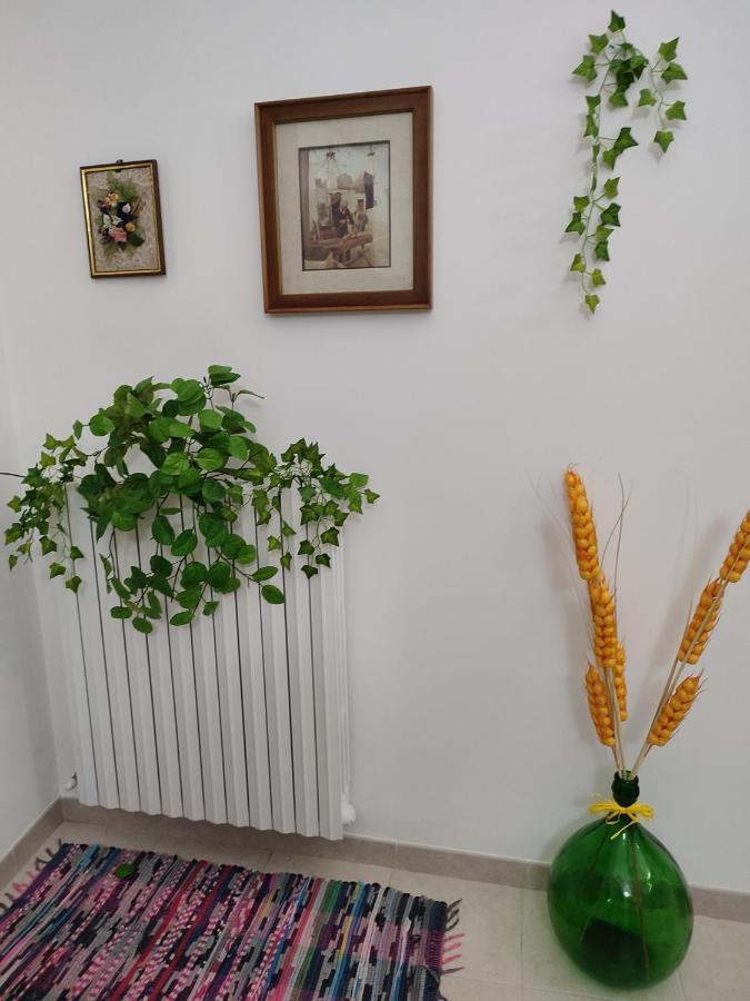 B&B Aquila 알베르벨로 외부 사진